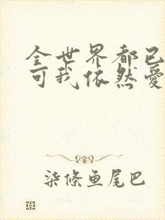 全世界都已剧终可我依然爱你