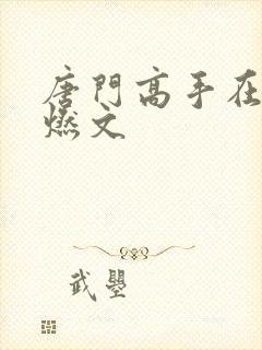 唐门高手在异世燃文