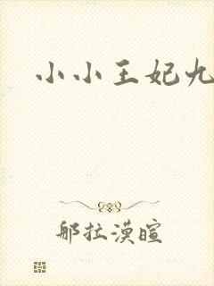 小小王妃九岁半
