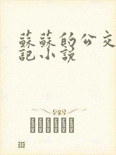 苏苏的公交车日记小说