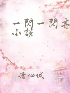 一闪一闪亮星星小说