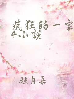 疯狂的一家PS4小说
