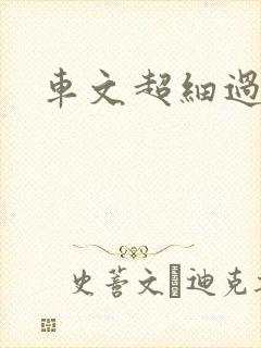 车文超细过程