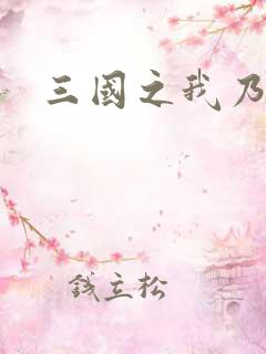 三国之我乃曹昂