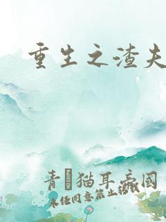 重生之渣夫狠妻