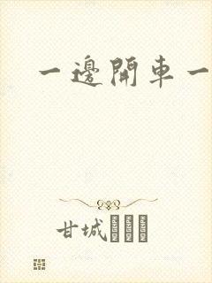 一边开车一边做