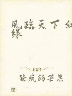 风临天下 红冰缘