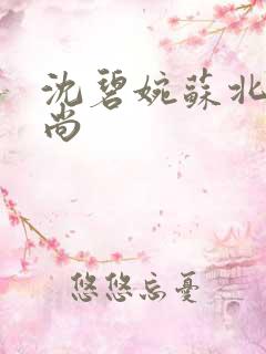 沈碧婉苏北宸和尚