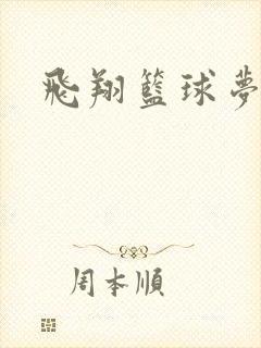 飞翔篮球梦下载