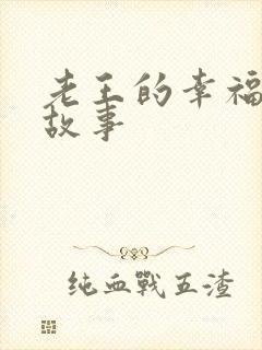 老王的幸福生活故事