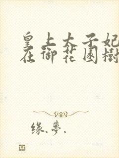 皇上太子妃沈音在御花园树上