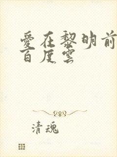 爱在黎明前降落百度云