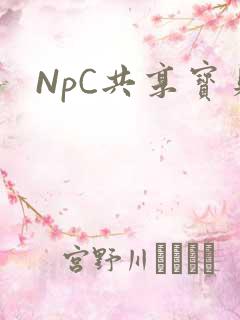 NpC共享宝贝