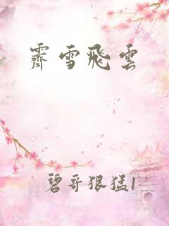 霁雪飞云