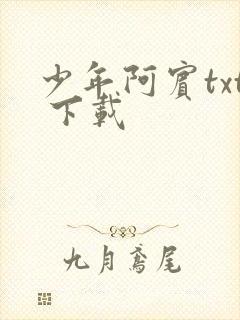 少年阿宾txt 下载