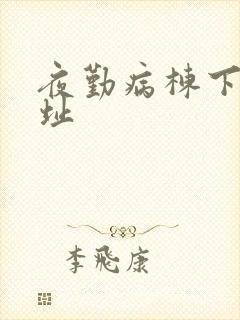 夜勤病栋下载地址