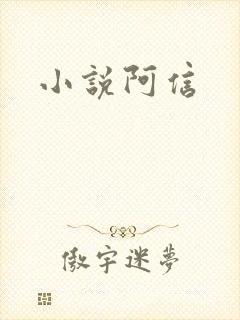 小说阿信