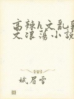 高辣h文乱乳h文浪荡小说苏卿