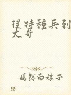 从特种兵到黑道大哥