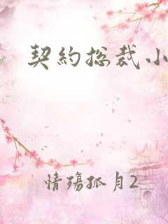 契约总裁小萌宝