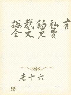 总裁的私有宝贝全文免费