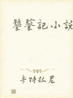 饕餮记小说