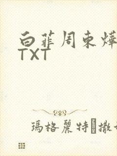 白菲周东烨小说TXT