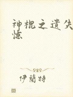 神棍之遗失的记忆