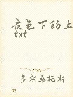夜色下的上海滩 txt