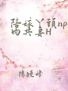 陪嫁丫头np全肉共妻H