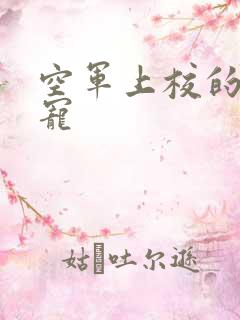 空军上校的邪魅宠