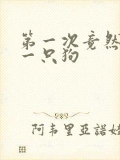 第一次竟然给了一只狗