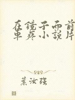 在镜子面前做开车疼小说片段