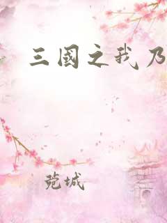 三国之我乃曹昂