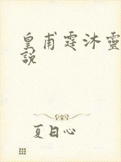 皇甫霆沐灵芸小说