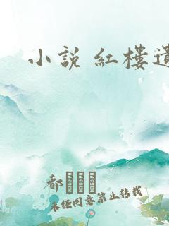 小说 红楼遗秘
