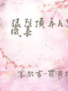 猛烈顶弄h禁欲机长