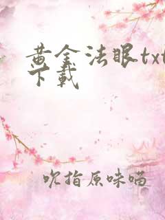 黄金法眼txt下载