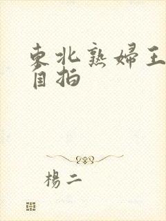 东北熟妇王梅娟自拍