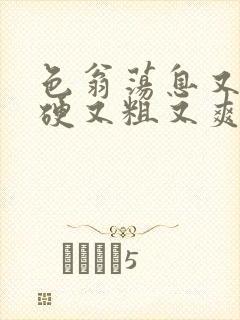 色翁荡息又大又硬又粗又爽