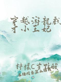 穿越游龙戏凤天才小王妃