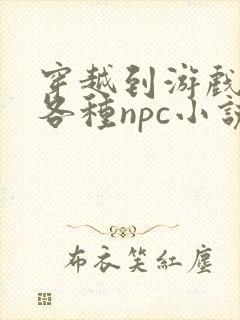 穿越到游戏里和各种npc小说