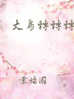 大鸟转转转