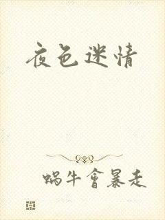 夜色迷情