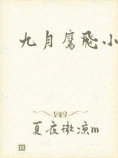 九月鹰飞小说