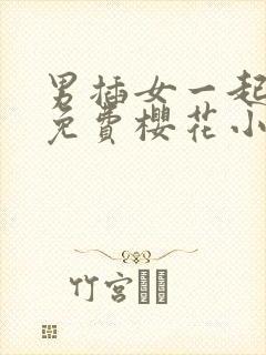 男插女一起爽的免费樱花小视频