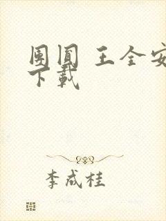 团圆 王全安 下载