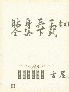 贴身兵王txt全集下载