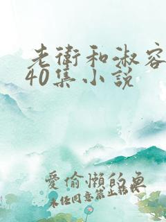 老卫和淑容1-40集小说