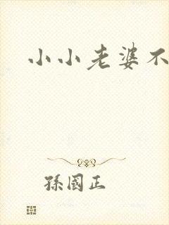 小小老婆不受宠